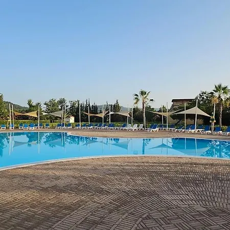 85 G Club Pizzo (Calabria)